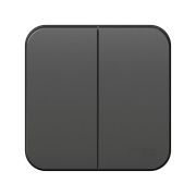 BLANCA АНТРАЦИТ 2-кл. выключатель. изол.пл., 6А, о/у, Schneider Electric BLNVA105016