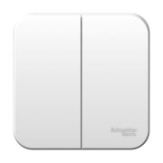 BLANCA Белый 2-кл. выключатель изол.пл., 6А, о/у, Schneider Electric BLNVA065011
