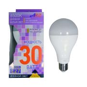 Лампа светодиодная Aktiv Electro LED-A80-Regular 30Вт Е27 2800Лм 6500К 220В 102-16