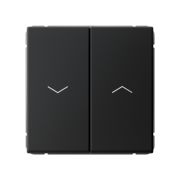 ART GALLERY, КАРБОН, ВЫКЛ. 2-кл ДЛЯ ЖАЛЮЗИ (РОЛЬСТАВНЕЙ), System Electric, GAL001019